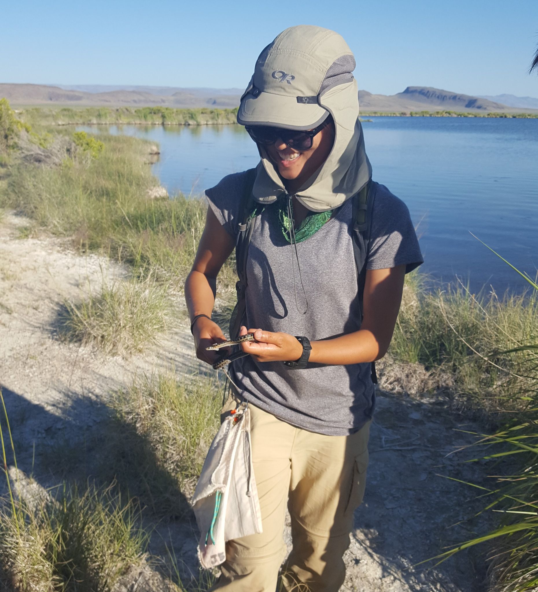 Lizard Camp 2017, Great Basin Desert, Southeast Oregon