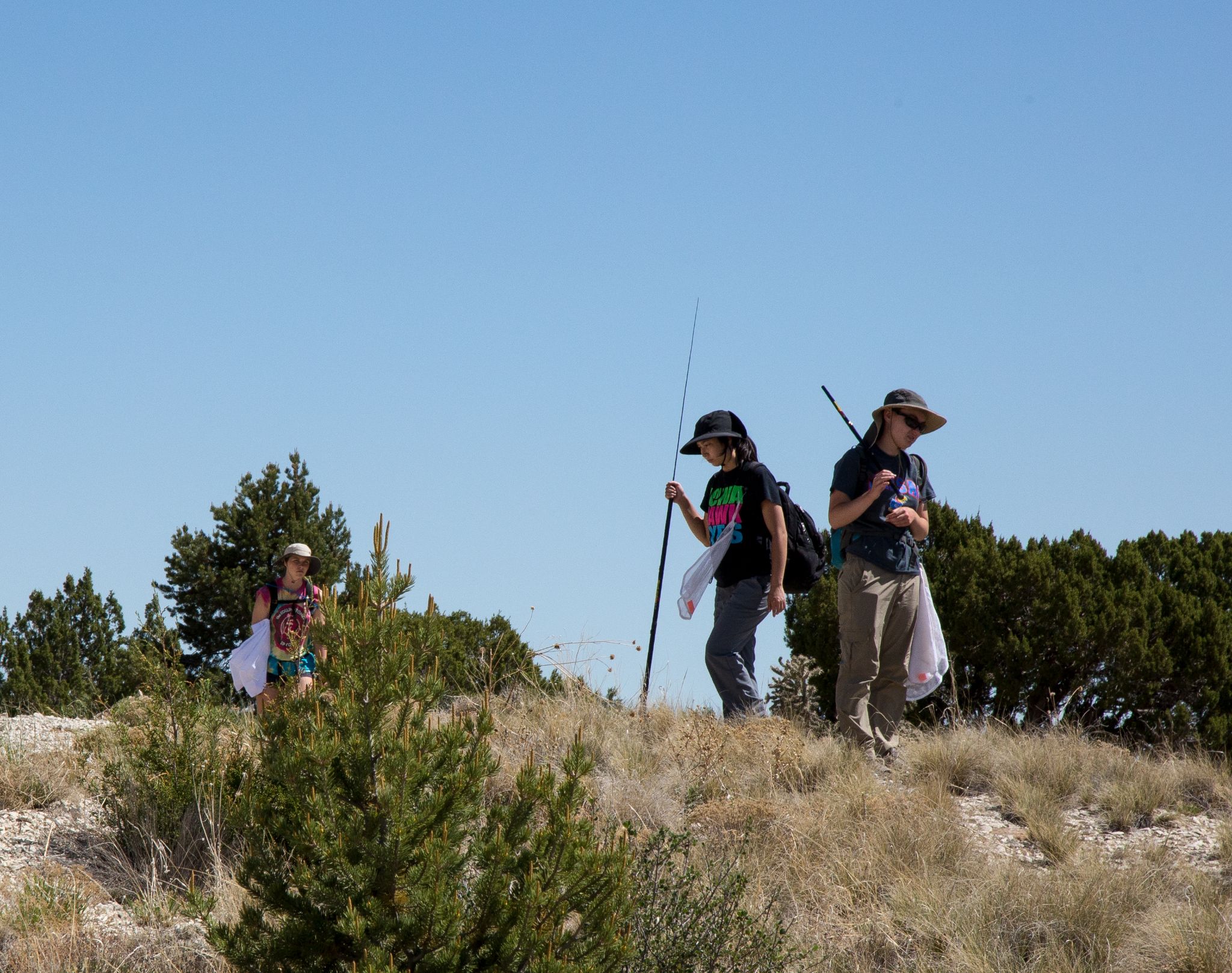 Lizard Camp 2018, Chihuahuan Desert, Colorado
