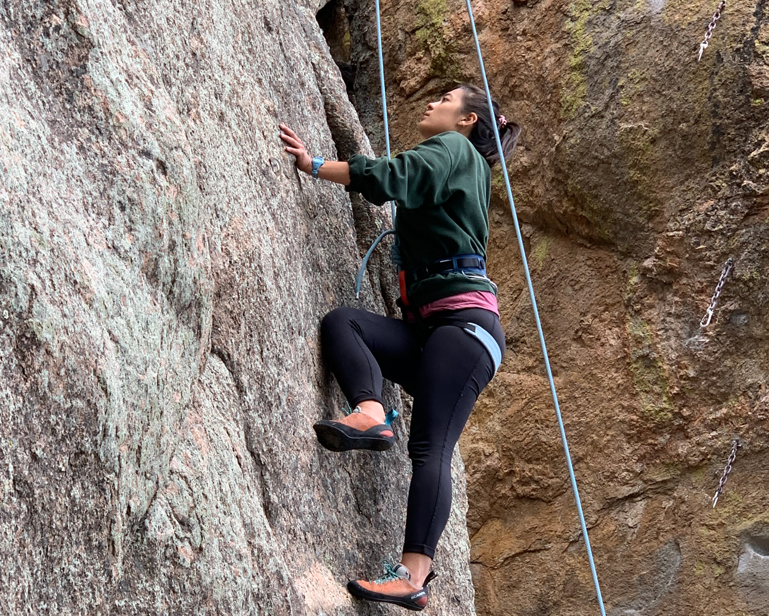 Lizard Camp 2019, Chihuahuan Desert, Colorado