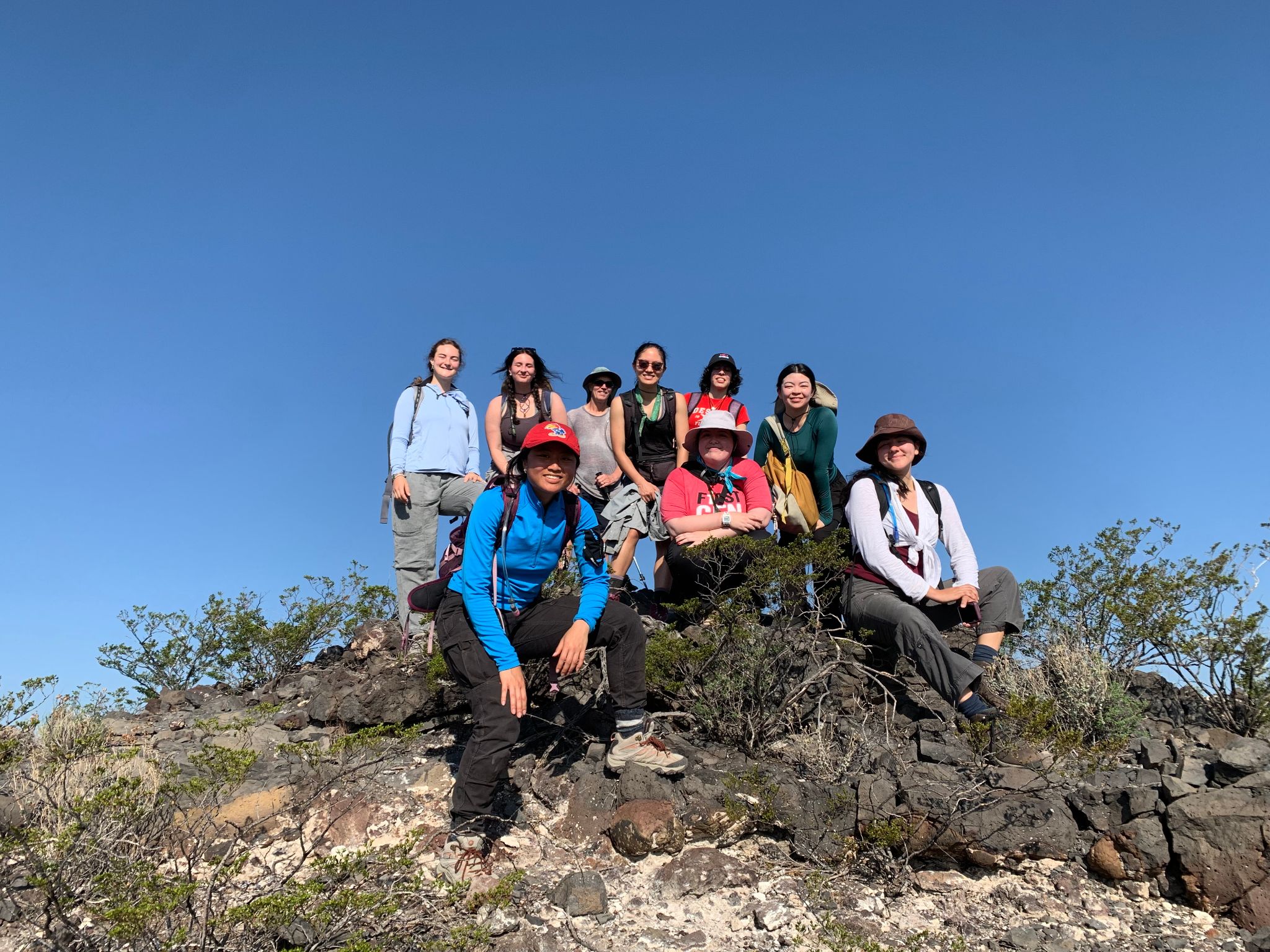 Lizard Camp — Baja California Sur