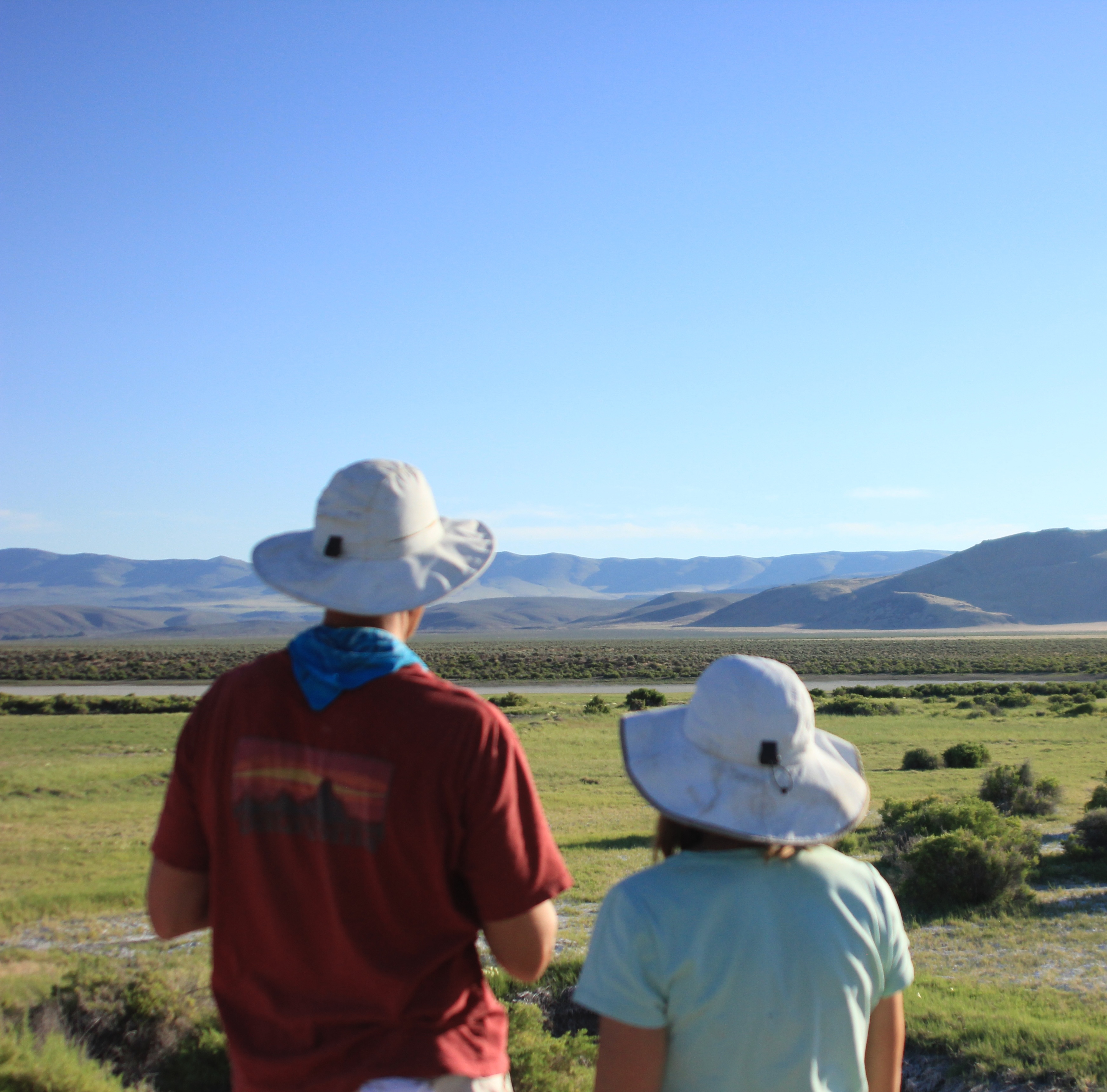 Field research in Baja California