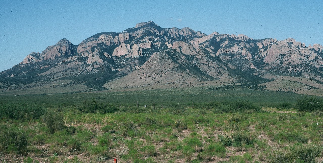 Chiricahua Mountains, Cochise Co., Arizona